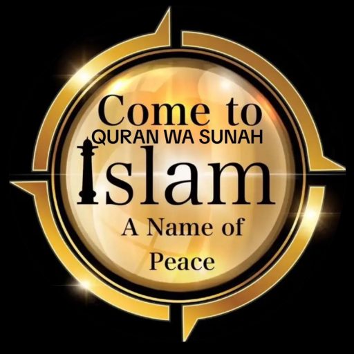 whatsapp image 2025 05 07 at 21.17.00